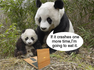 Asus Announce Bamboo Laptops In Massive Fug Of Hyperbolic Tosh