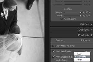 Adobe Lightroom 2.0 Released