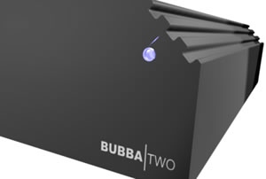 Bubba Two: Silent Server