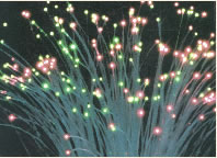 40Gbps Internet Connection For Swedish Lady, 75