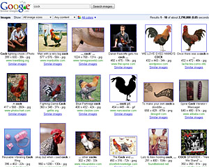 Google Adds Innovative 'Similar Images' Search