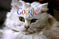 Google Grabs 75 Percent In UK