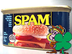US Hits Top Spam Spot In Ireland