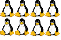 Mobile Linux Use Set To Soar