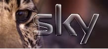 Sky Files First Loss for Six Years