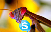 Skype Security Hole Patched