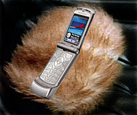 Star Trek Special Edition Phone Announced