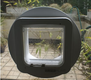 SureFlap Review: The RFID Catflap