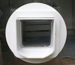 SureFlap Review: The RFID Catflap