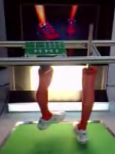 Virtual Trainers In A Virtual Mirror: Video